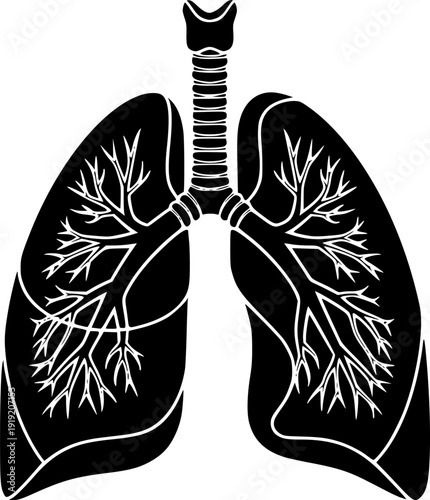The human lung with bronchioles is depicted in black and white color

