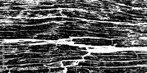 Black and White Wood Grain Texture Background Distressed Tree Bark Pattern, Rough Timber Surface, Rustic Wooden Plank Detail, High Contrast Monochrome Natural Texture for Wallpaper, Print and Graphics
