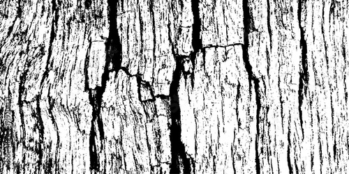 Black and White Wood Grain Texture Background Distressed Tree Bark Pattern, Rough Timber Surface, Rustic Wooden Plank Detail, High Contrast Monochrome Natural Texture for Wallpaper, Print and Graphics
