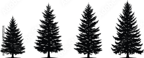 Black pine tree silhouette set with spruce and fir evergreen forest elements, cad drawing flat vector illustration, isolated on white