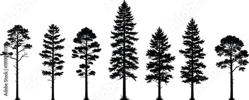 Black pine tree silhouette set with spruce and fir evergreen forest elements, cad drawing flat vector illustration, isolated on white