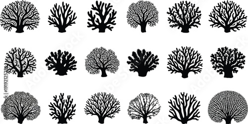 Vector animal corals isolated on transparent background