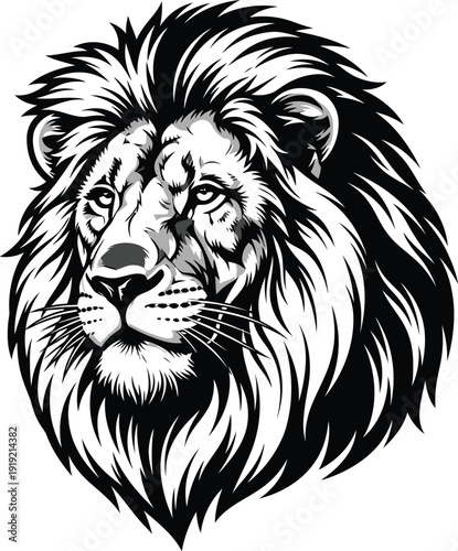 Vector lion head illustration isolated on transparent background