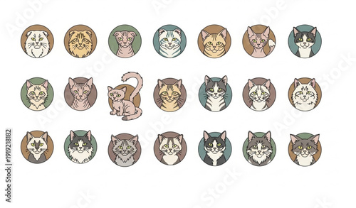Domestic Cat Breeds Flat Vector Collection Minimal Pet Characters Set Isolated