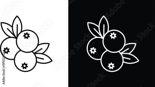 Blueberry icon pack in black and white colors
