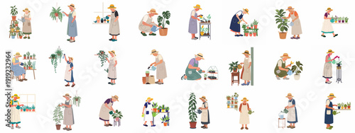 Elderly women engaging in various indoor gardening activities, caring for houseplants with dedication and joy.