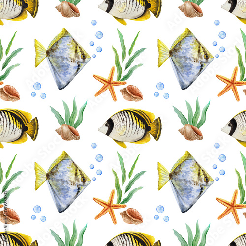 Fish, starfish, algae, seashell, underwater world, watercolor seamless pattern on a white background. The butterfly fish, Monodactylus argenteus. Marine life.