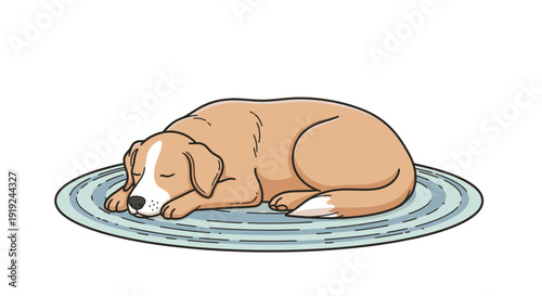 Sleeping Dog on Round Blue Mat.