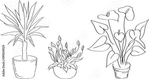 Flower doodle set  houseplants outline illustrations, indoor exotic plants in pots, line art style potted flowers for home interior design, vector collection