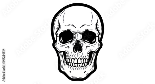 Detailed Hand Drawn Human Skull Illustration on White Background.
