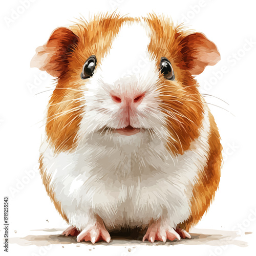 Guinea Pig, vibrant watercolor vector, isolated on a white background, high quality and detailed design.