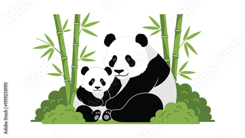 Giant panda bear sitting and holding its cute small cub in a lush green bamboo forest setting on a white background.