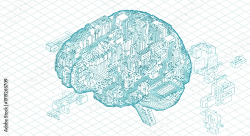 Human Brain Illustration Detailed Drawing Anatomy.