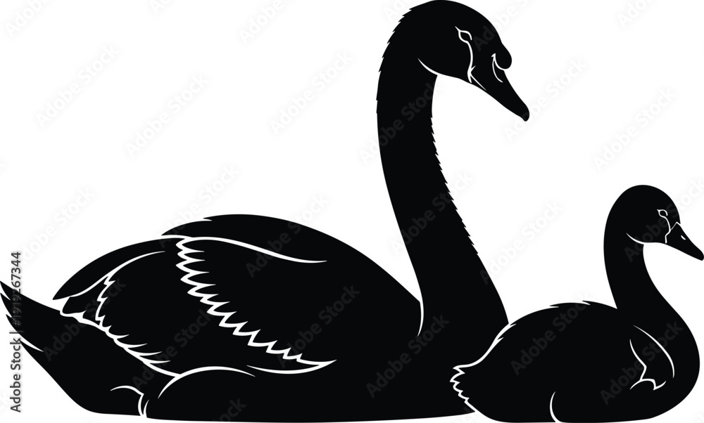 Αυτοκόλλητο Swan and cygnet silhouette illustration, elegant black water bird family vector