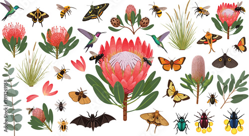 Colorful illustration of various butterflies and insects around flowers and plants in a garden setting