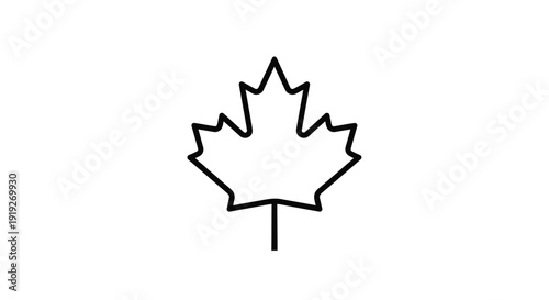 Simple black outline of a maple leaf on a white background
