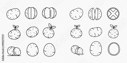 Set of hand-drawn potato illustrations, including whole, cut, and sprouting potatoes, in a doodle style.