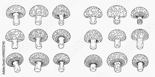Set of hand-drawn mushroom illustrations, perfect for culinary designs and natural themes.