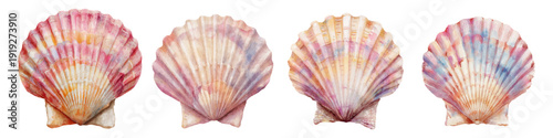 Watercolor collection of various scallop shells with soft pastel colors creating a whimsical design representing ocean life, marine nature, and summer beach themes