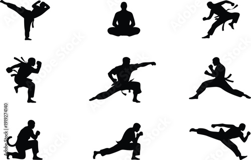 Martial Arts Icon Set Combat Vector Karate Taekwondo Fighter Icon Pack