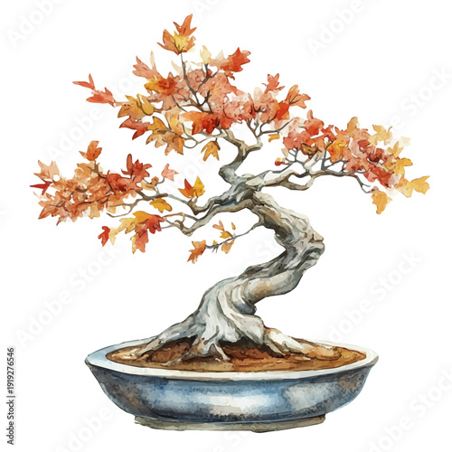 Silver Maple Bonsai, watercolor illustration featuring soft shadows and luminous, isolated on a white background.