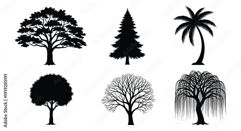 Fototapeta premium Set of 6 Black Tree Silhouette Vector Icons Isolated on White