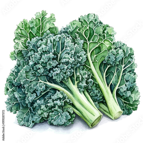 Kale, playful watercolor vector depicting lively antics and expressive gestures, isolated on a white background.