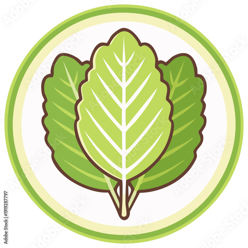 Fresh Green Lettuce Leaves Illustration for Healthy Eating and Vegan Lifestyle