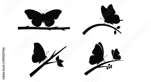Black butterflies perched on branches a striking visual silhouette