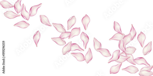 pink and green leaves