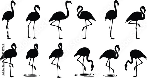 Black flamingo silhouettes set isolated on white background featuring tropical birds in various standing and wading poses for exotic nature and summer vector design