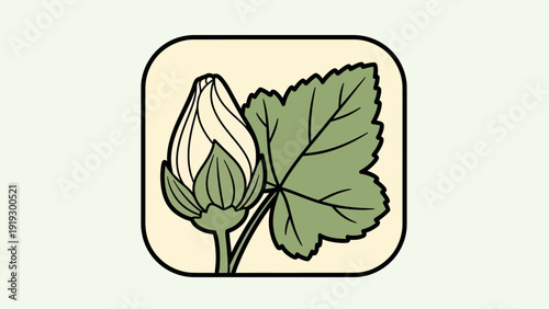 A stylized illustration features a bud, leaves, and stem enclosed within a rounded rectangle