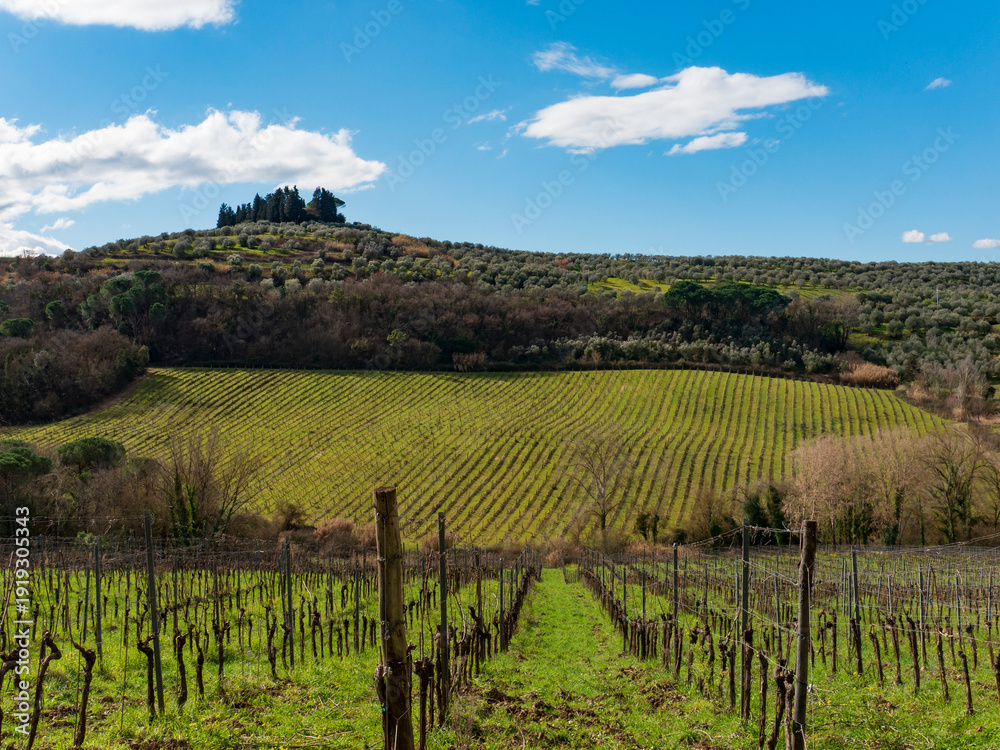 Obraz premium Italia, Toscana, provincia di Firenze, la campagna di Sammontana , Empoli.