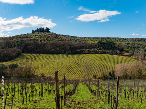 Italia, Toscana, provincia di Firenze, la campagna di Sammontana , Empoli.