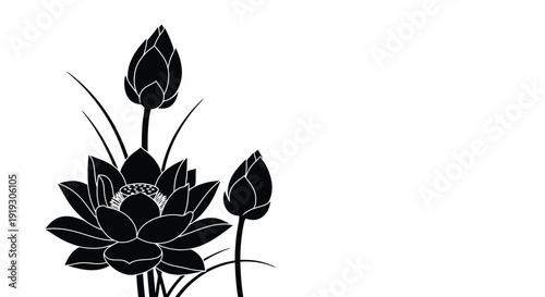 Elegant Black Lotus Flowers and Buds Silhouette.