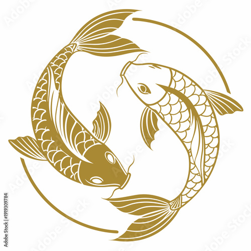 Golden koi fish swimming in circle 2