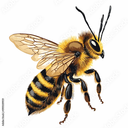 honey bee design very cool
