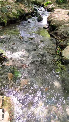 Peaceful Gaja Stream Flowing Gently Through a Lush Forest in Hungary