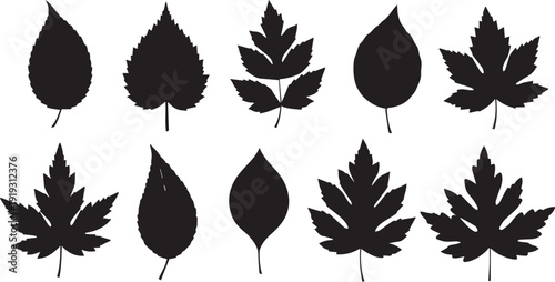 set of autumn leaves