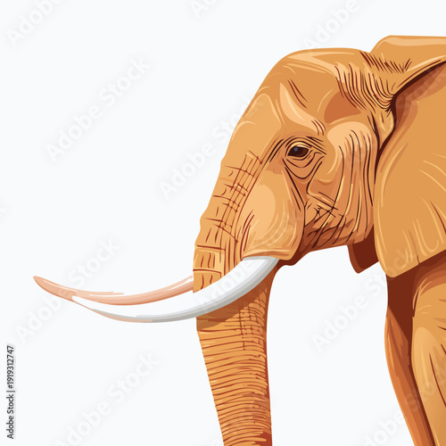 Close up illustration of an african elephant with ivory tusks