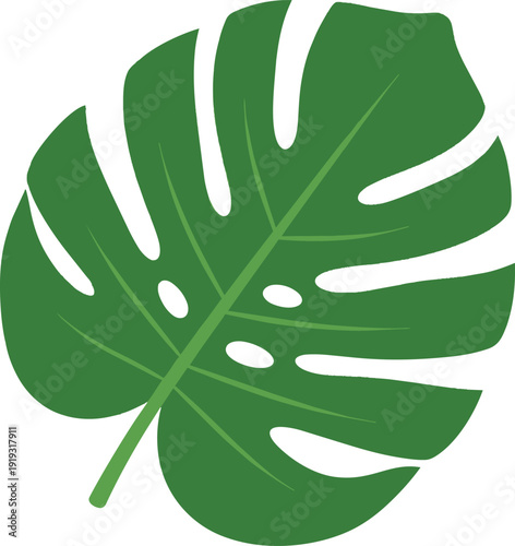 Vibrant green monstera leaf with distinct splits and holes.