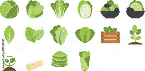 Fresh Lettuce and Leafy Green Vegetables Flat Vector Icons Set Featuring Cabbage, Romaine, Salad Bowls, Organic Farm Produce Collection