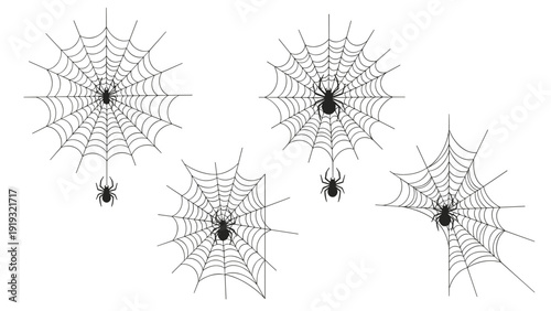 Four different spiders shown on their intricate webs with varying designs and spider species for nature studies.