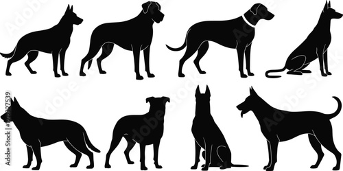Silhouettes of various dog breeds in different poses on a white background vector illustration