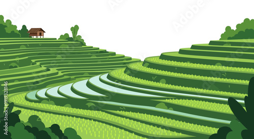 Green Terraced Rice Fields Illustration with Traditional Hut and Rural Agriculture Landscape