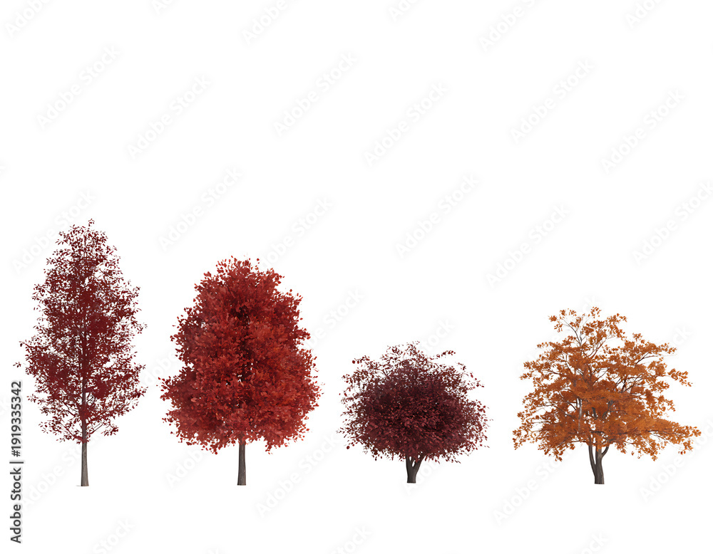 Obraz premium A collection of four distinct deciduous trees showcasing vibrant autumn foliage in shades of red deep red and orange isolated on transparent background transparent background