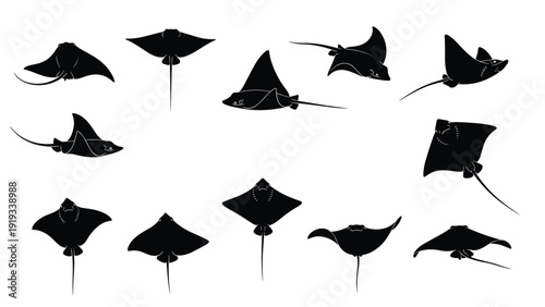 Collection of stingray silhouettes in various swimming positions and angles against a white background for marine life and aquatic themes.