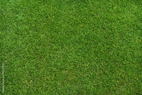 Photos green grass texture - well-groomed turf in the garden or soccer stadium