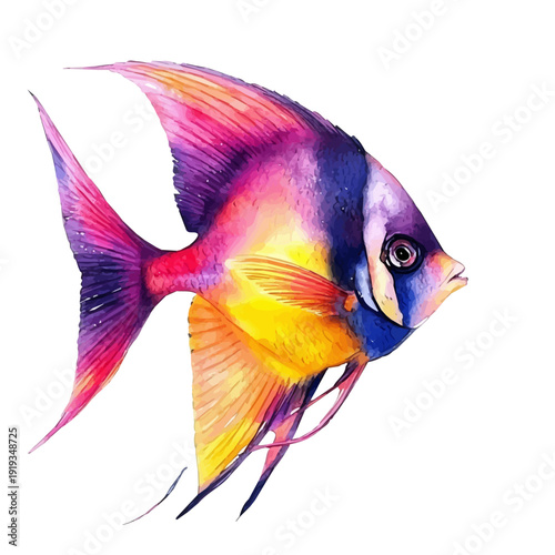 Tropical Fish, elegant watercolor vector illustration with flowing lines and gentle color transitions, isolated on a white background.