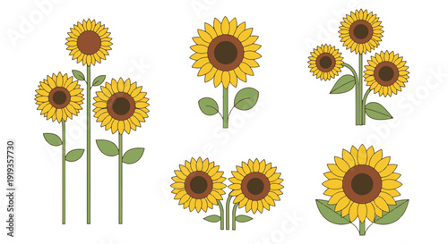 Sunflower Line art modern design bright color illustration